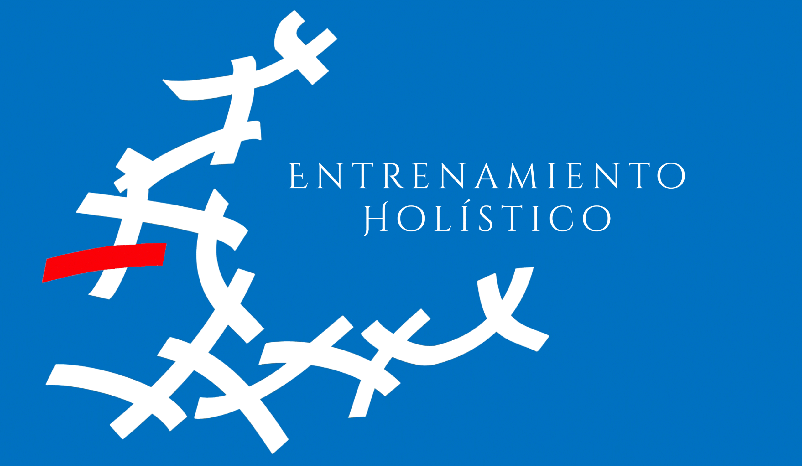 New book Holistic Training